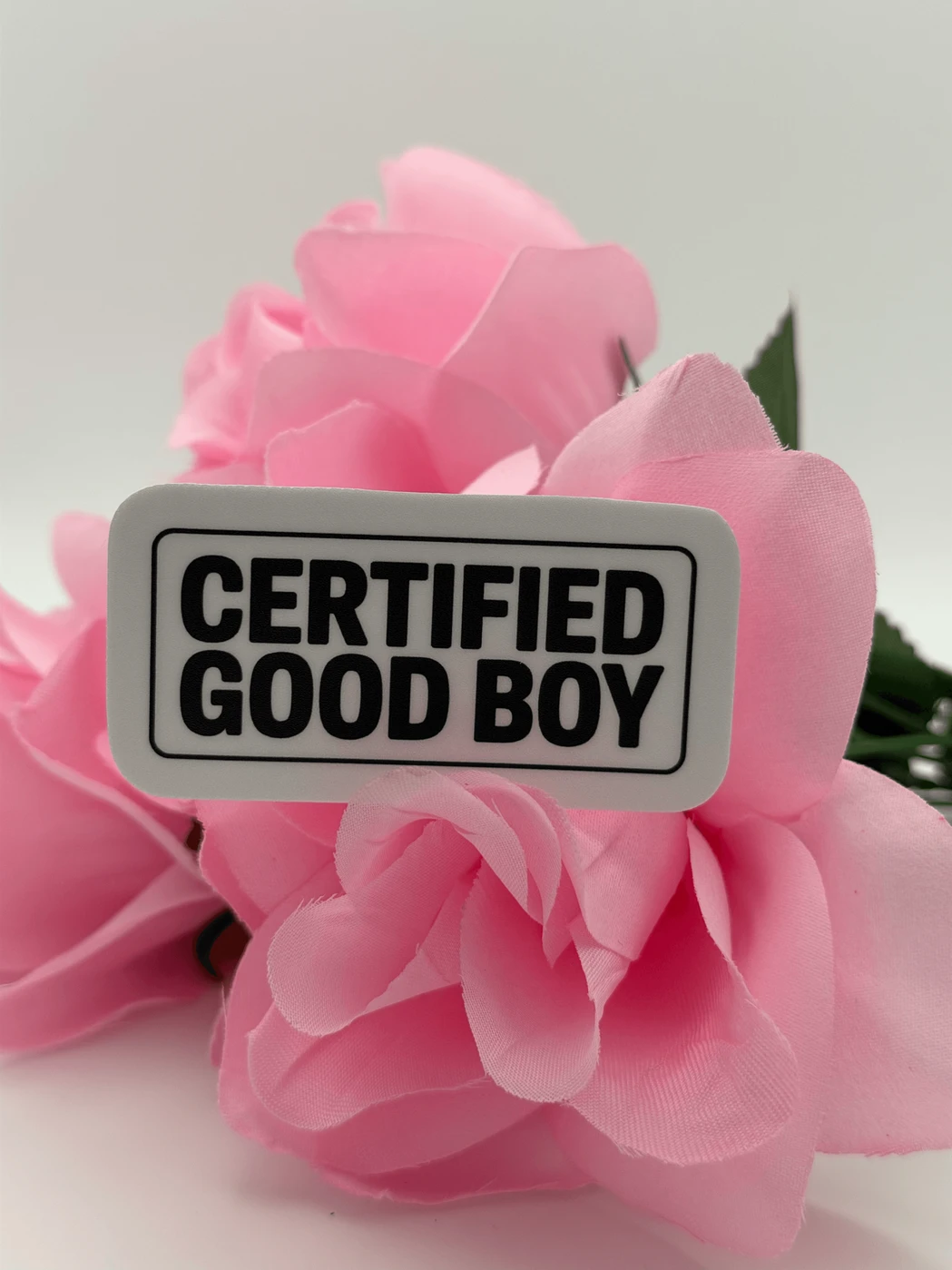 Certified Good Boy Text Vinyl Sticker