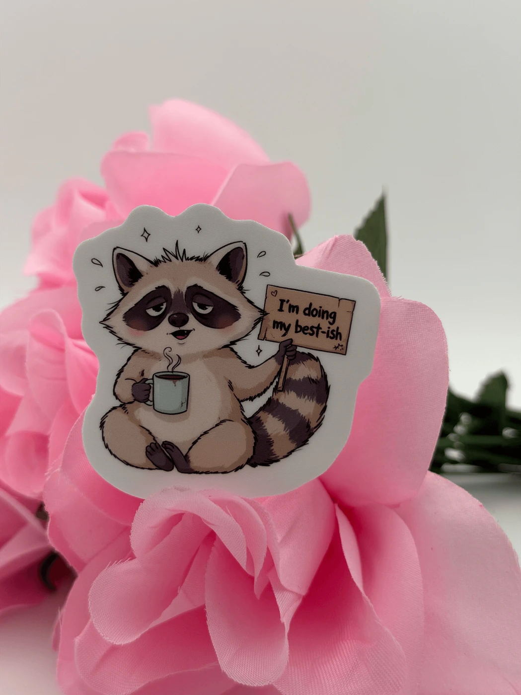 Cute Raccoon Best-ish Vinyl Sticker