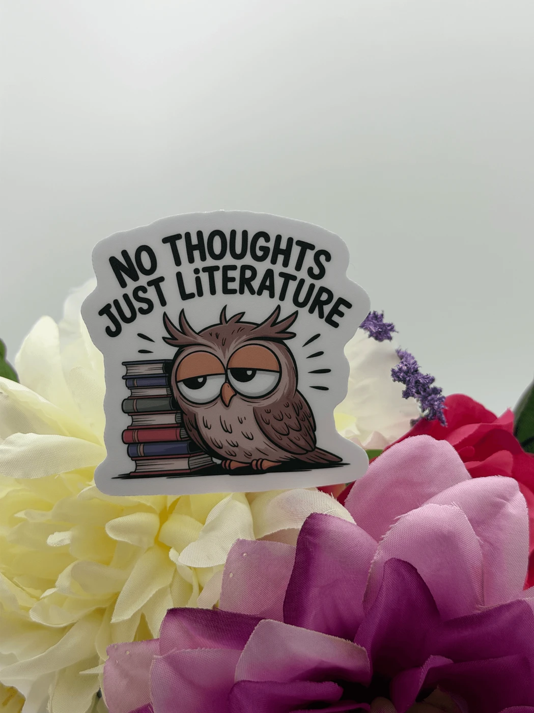 Funny Owl and Books Literature Vinyl Sticker