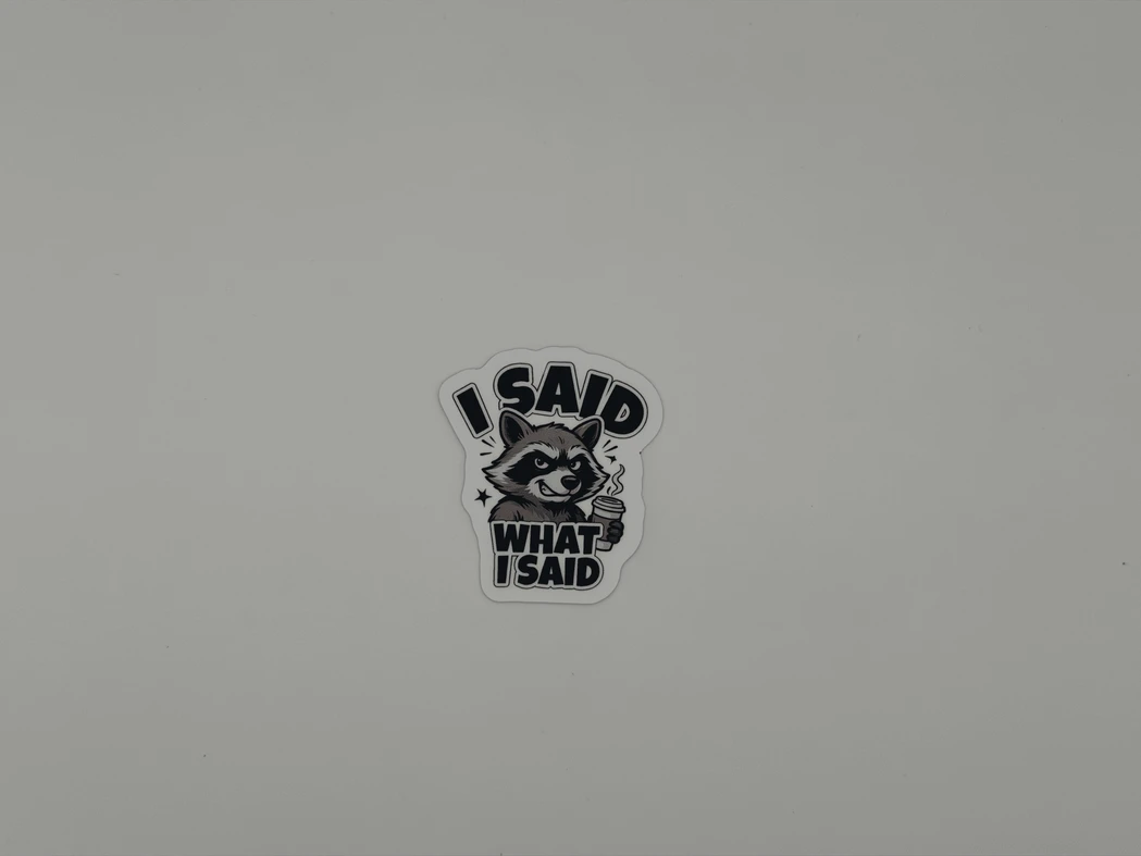 Funny Raccoon Quote Vinyl Sticker I Said What I Said