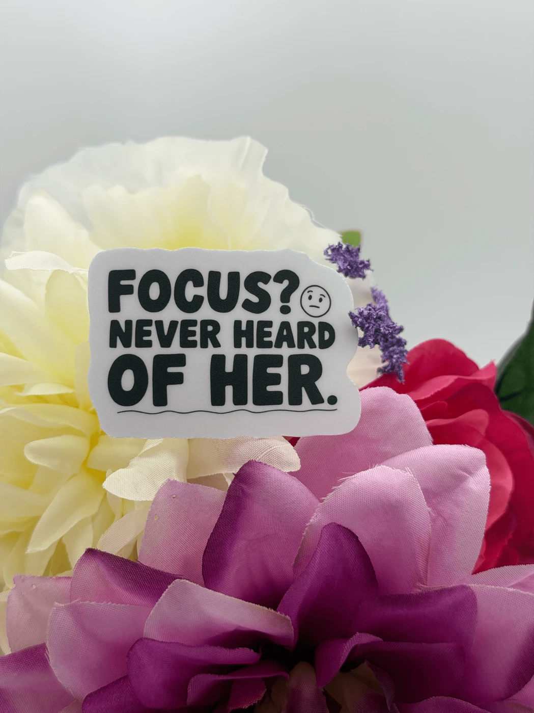 Funny Focus Never Heard of Her Vinyl Sticker