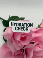 "Hydration Check" Motivational Vinyl Sticker