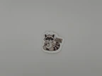Cute Raccoon Best-ish Vinyl Sticker