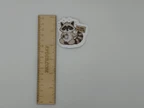 Cute Raccoon Best-ish Vinyl Sticker