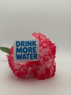 "Drink More Water" Motivational Sticker