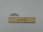 Funny Introvert Quote Vinyl Sticker I Can't Have Plans