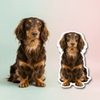 Custom Dog Stickers - Personalized Vinyl Pet Decals