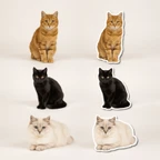 Custom Cat Stickers - Personalized Vinyl Cat Photo Decals