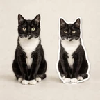 Custom Cat Stickers - Personalized Vinyl Cat Photo Decals