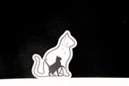 Mystical Cat Sticker with Black Cat, Moon & Stars