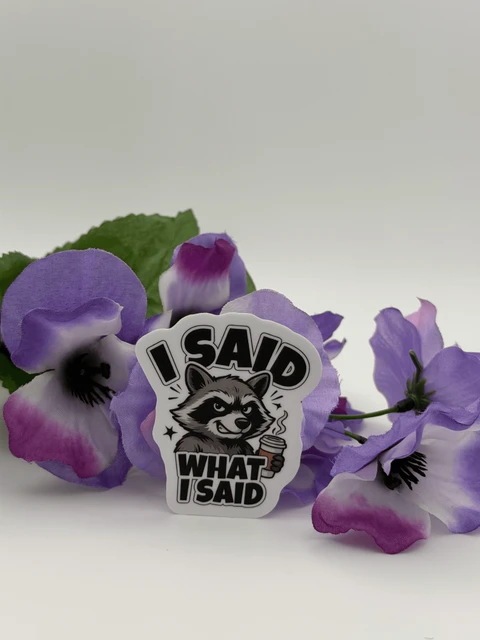 Funny Raccoon Quote Vinyl Sticker I Said What I Said