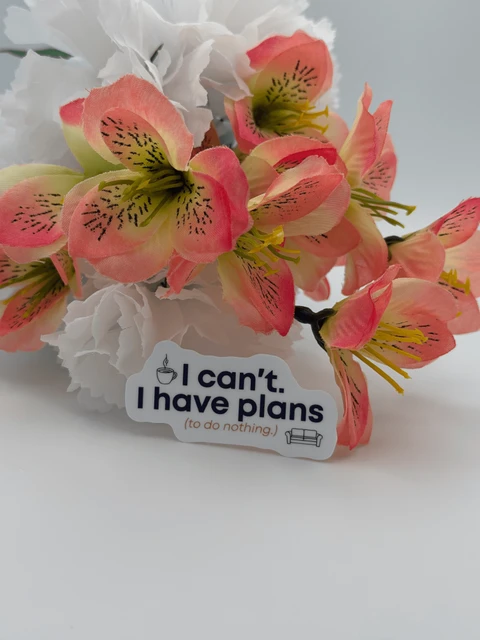 Funny Introvert Quote Vinyl Sticker I Can't Have Plans