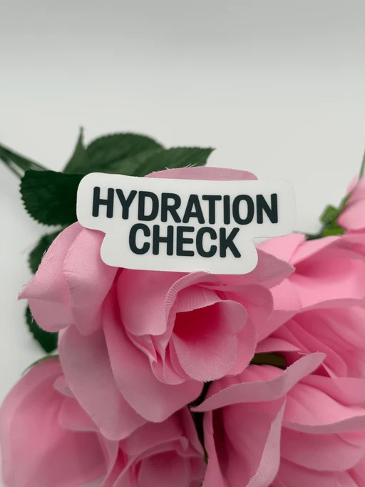 "Hydration Check" Motivational Vinyl Sticker