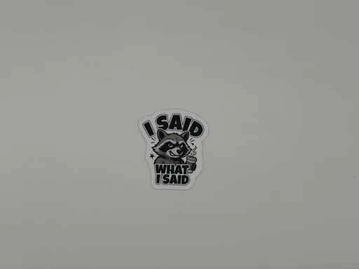 Funny Raccoon Quote Vinyl Sticker I Said What I Said